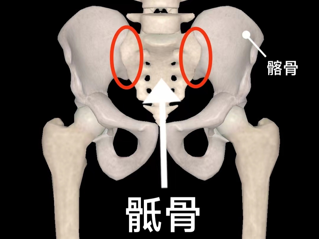 重大打击雷霆官方：霍姆格伦右髂骨翼骨折 至少缺阵8-10周